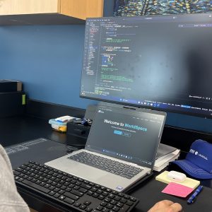 Team member codes WorldspecS platform.